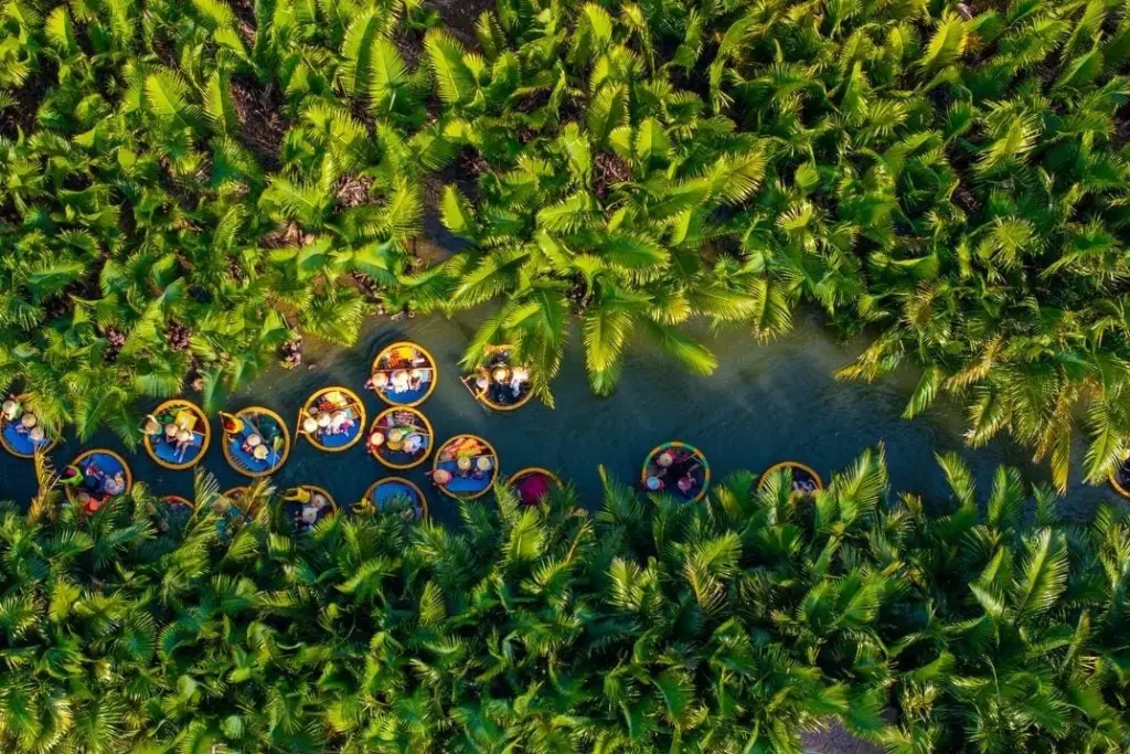 Tourists explore the Bay Mau Coconut Forest of Cam Thanh in Hoi An by riding in basket boats.